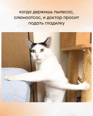 Мем